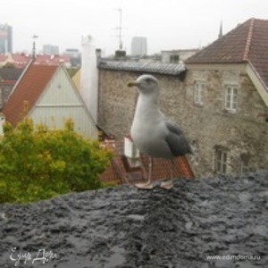 Фотография профиля
