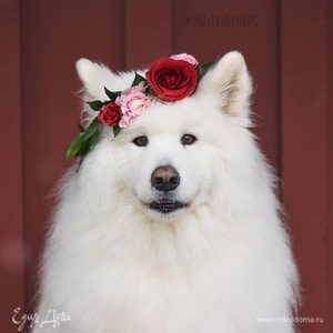 Фотография профиля