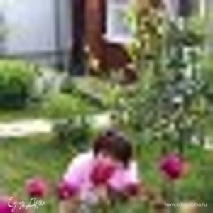 Фотография профиля