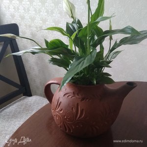 Фотография профиля