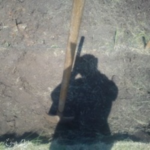 Фотография профиля