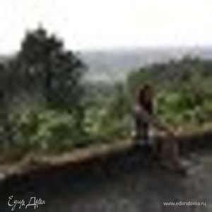 Фотография профиля