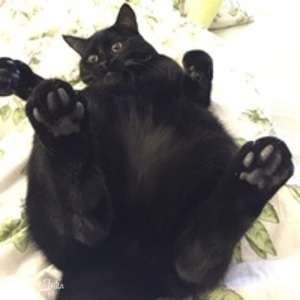 Фотография профиля