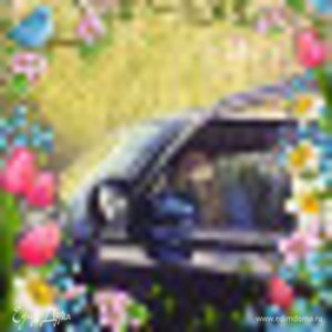 Фотография профиля