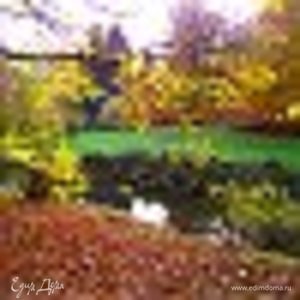 Фотография профиля