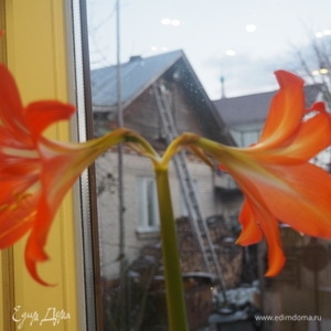 Фотография профиля