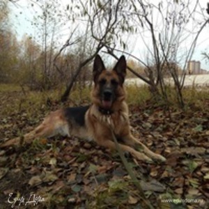 Фотография профиля