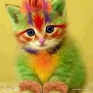 Фотография профиля