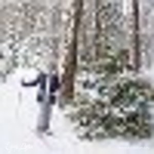 Фотография профиля