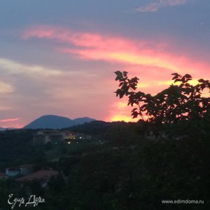 Фотография профиля