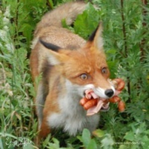 Фотография профиля