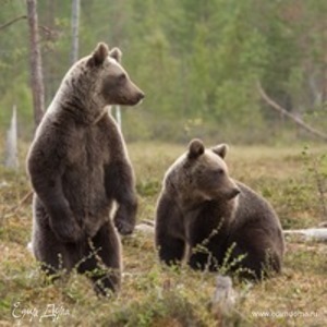 Фотография профиля