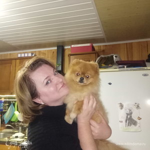 Фотография профиля