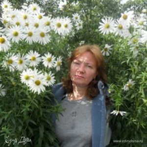 Фотография профиля