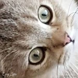 Фотография профиля