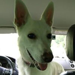 Фотография профиля