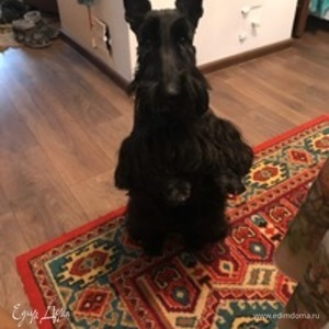 Фотография профиля