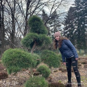 Фотография профиля