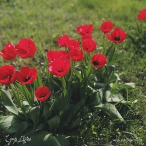 Фотография профиля