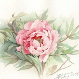 Фотография профиля