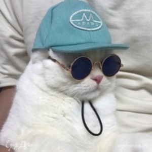 Фотография профиля