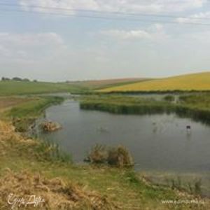 Фотография профиля