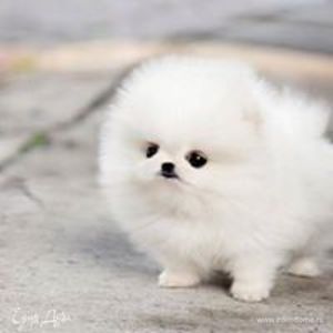 Фотография профиля