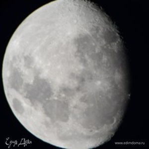 Фотография профиля