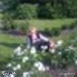 Фотография профиля