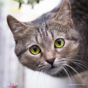 Фотография профиля