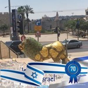 Фотография профиля