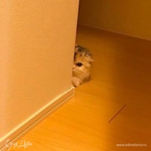 Фотография профиля