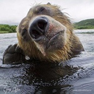 Фотография профиля