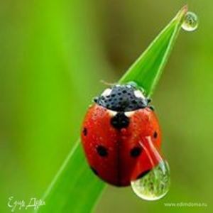 Фотография профиля