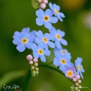 Фотография профиля