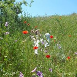 Фотография профиля