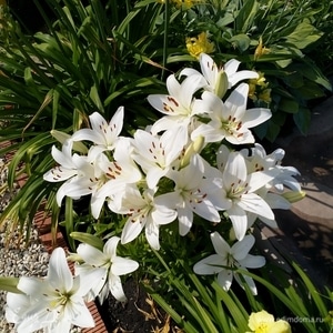 Фотография профиля