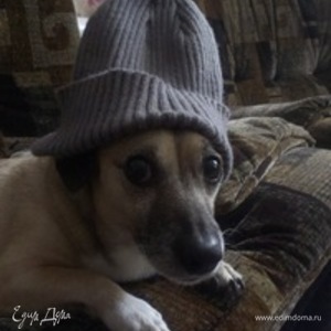 Фотография профиля