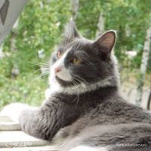 Фотография профиля