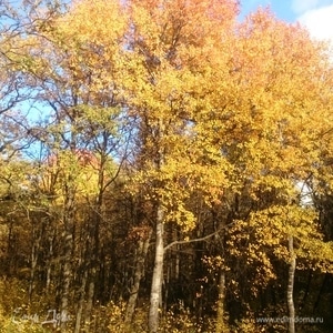 Фотография профиля