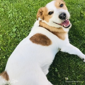 Фотография профиля