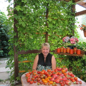 Фотография профиля