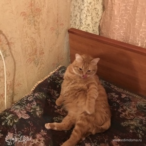 Фотография профиля