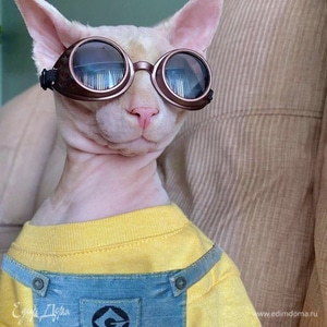 Фотография профиля