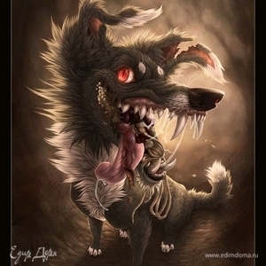 Фотография профиля