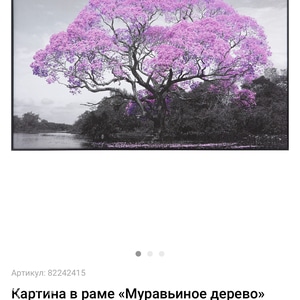 Фотография профиля
