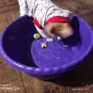 Фотография профиля