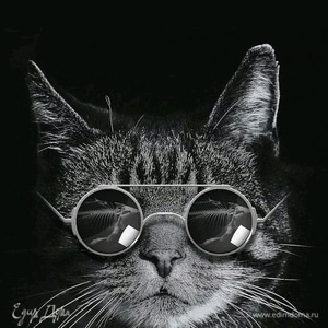 Фотография профиля