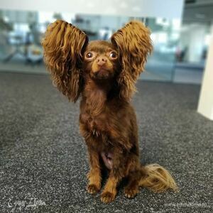 Фотография профиля