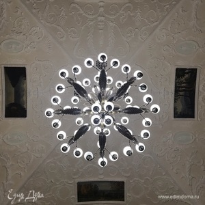 Фотография профиля